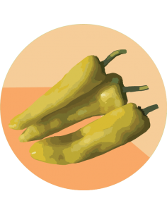 producto mayorista semillas agroecológicas