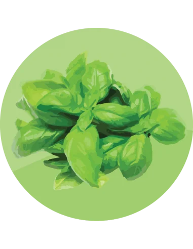 producto mayorista semillas agroecológicas
