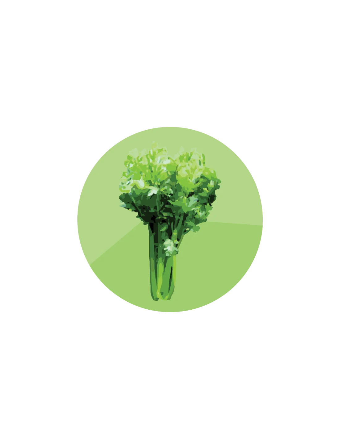 producto mayorista semillas agroecológicas