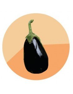 producto mayorista semillas agroecológicas