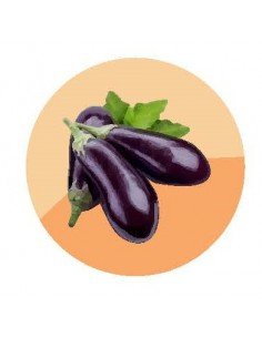 producto mayorista semillas agroecológicas