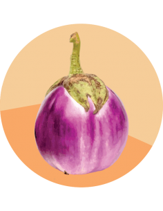 producto mayorista semillas agroecológicas