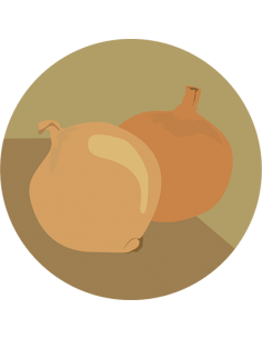 producto mayorista semillas agroecológicas