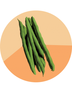 producto mayorista semillas agroecológicas