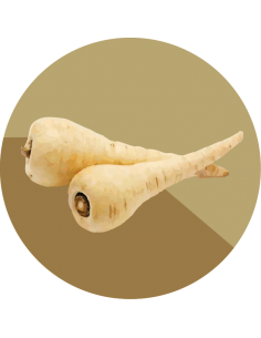 producto mayorista semillas agroecológicas