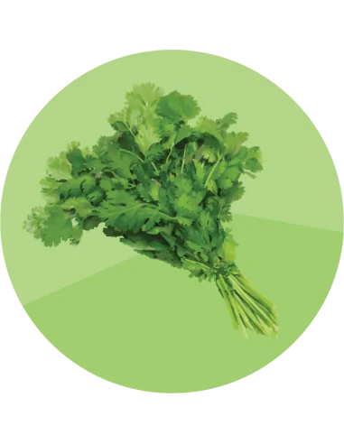producto mayorista semillas agroecológicas