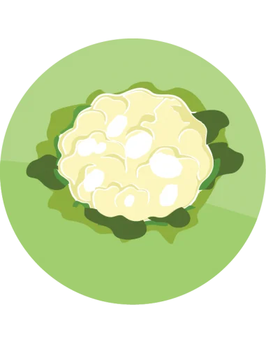 producto mayorista semillas agroecológicas