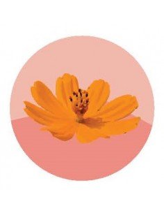 producto mayorista semillas agroecológicas