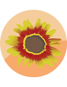 producto mayorista semillas agroecológicas