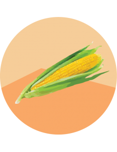 producto mayorista semillas agroecológicas
