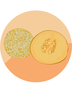 producto mayorista semillas agroecológicas