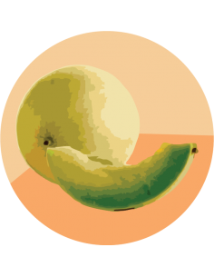producto mayorista semillas agroecológicas