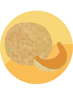 producto mayorista semillas agroecológicas