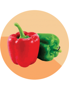 producto mayorista semillas agroecológicas
