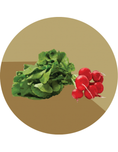 producto mayorista semillas agroecológicas