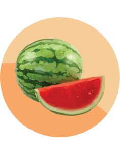 producto mayorista semillas agroecológicas