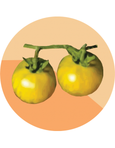 producto mayorista semillas agroecológicas