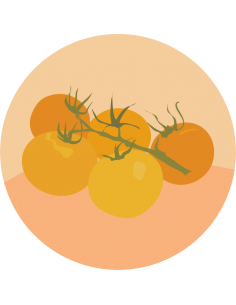 producto mayorista semillas agroecológicas