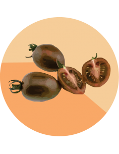 producto mayorista semillas agroecológicas