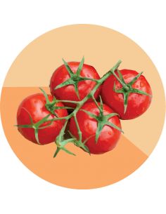 producto mayorista semillas agroecológicas