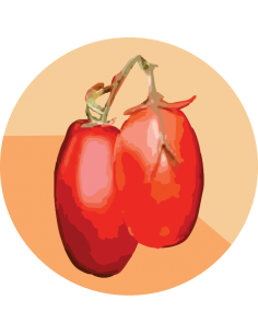 producto mayorista semillas agroecológicas