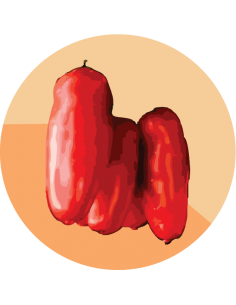 producto mayorista semillas agroecológicas