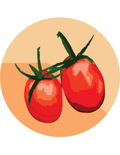 producto mayorista semillas agroecológicas