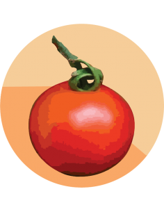 producto mayorista semillas agroecológicas