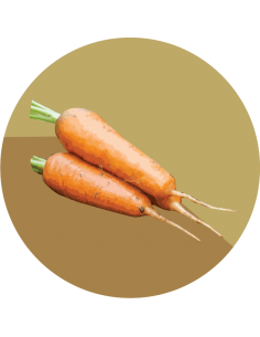 producto mayorista semillas agroecológicas
