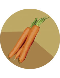 producto mayorista semillas agroecológicas