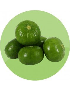 producto mayorista semillas agroecológicas