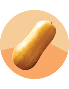 producto mayorista semillas agroecológicas