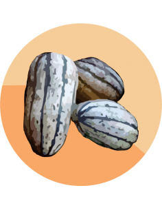 producto mayorista semillas agroecológicas