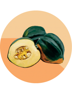 producto mayorista semillas agroecológicas