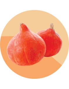 producto mayorista semillas agroecológicas