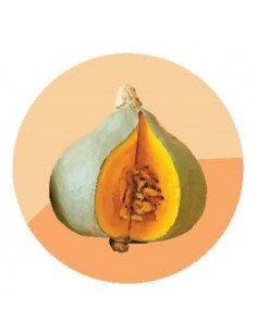 producto mayorista semillas agroecológicas
