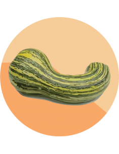 producto mayorista semillas agroecológicas