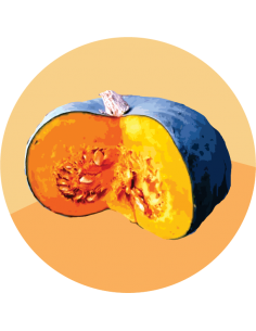 producto mayorista semillas agroecológicas