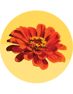 producto mayorista semillas agroecológicas