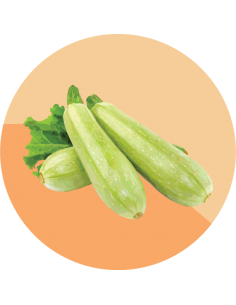 producto mayorista semillas agroecológicas