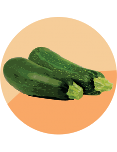 producto mayorista semillas agroecológicas